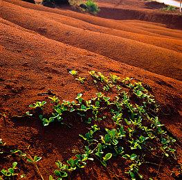 玩家发现《塞尔达传说：梅祖拉的假面》麦克风功能